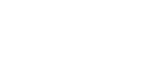 fully licensed and insured painting company